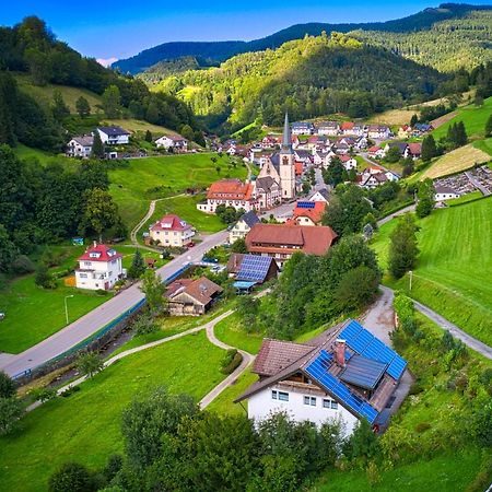 Steepleview House, Schwarzwaldblick Apartment - Spacious & Peaceful Бад-Петерсталь-Ґрісбах Екстер'єр фото