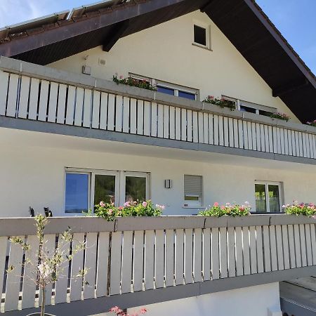 Steepleview House, Schwarzwaldblick Apartment - Spacious & Peaceful Бад-Петерсталь-Ґрісбах Екстер'єр фото
