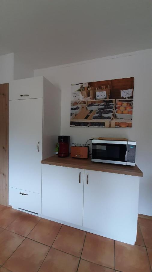 Steepleview House, Schwarzwaldblick Apartment - Spacious & Peaceful Бад-Петерсталь-Ґрісбах Екстер'єр фото