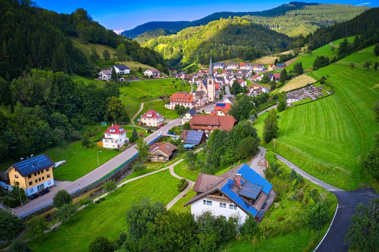 Steepleview House, Schwarzwaldblick Apartment - Spacious & Peaceful Бад-Петерсталь-Ґрісбах Екстер'єр фото