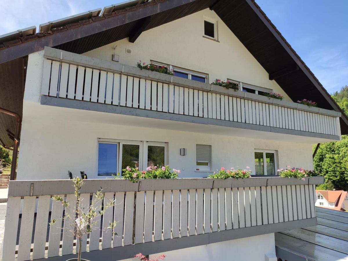 Steepleview House, Schwarzwaldblick Apartment - Spacious & Peaceful Бад-Петерсталь-Ґрісбах Екстер'єр фото
