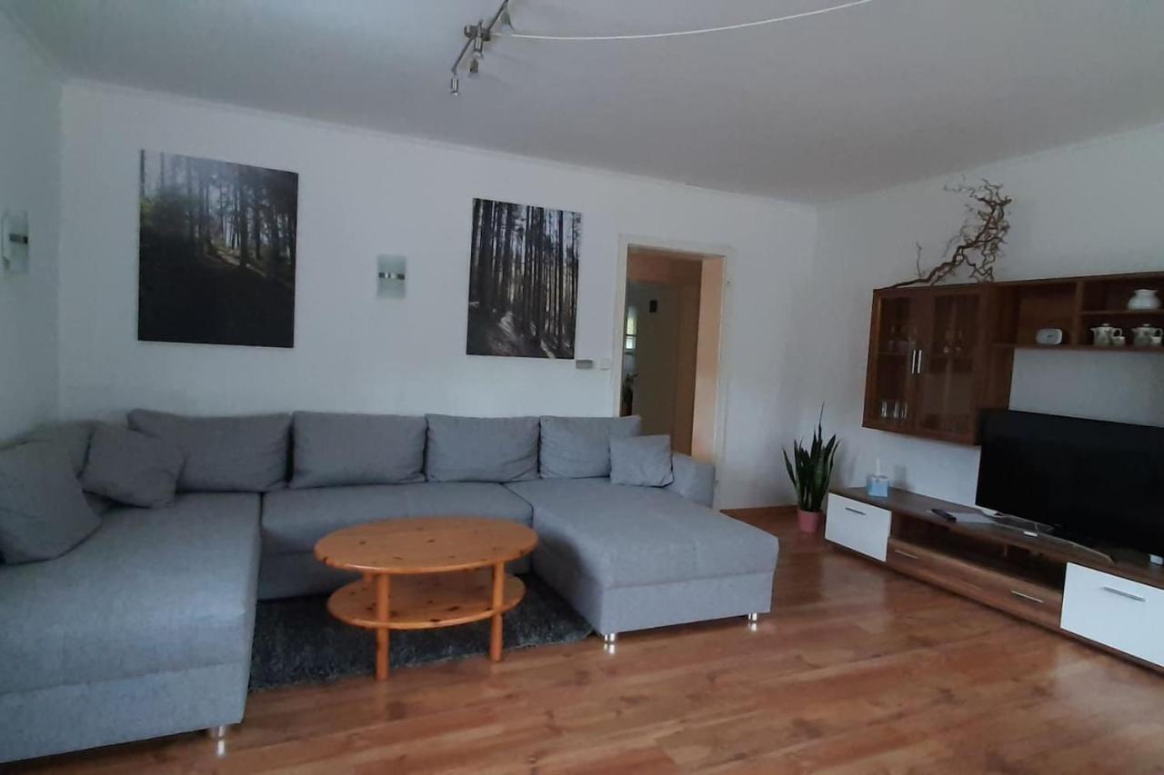 Steepleview House, Schwarzwaldblick Apartment - Spacious & Peaceful Бад-Петерсталь-Ґрісбах Екстер'єр фото
